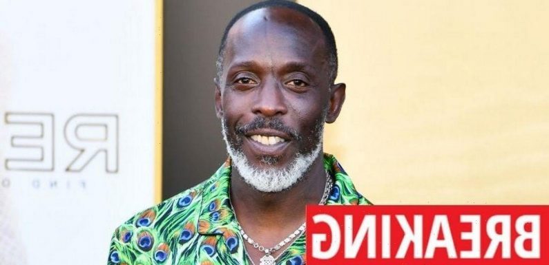 The Wire actor Michael K Williams found dead aged 54 in ‘possible overdose’