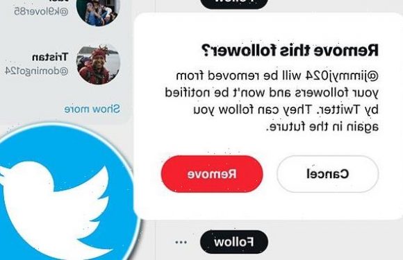 Twitter testing letting users remove followers and without blocking