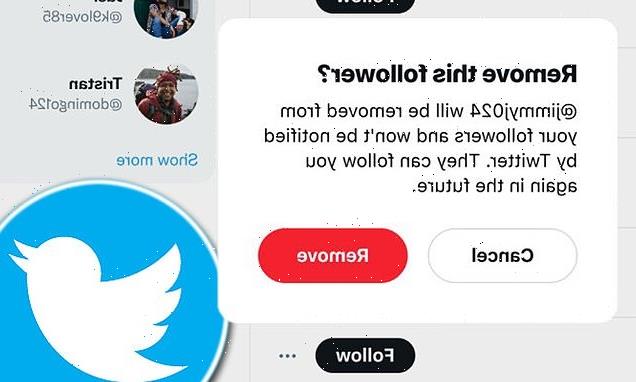 Twitter testing letting users remove followers and without blocking