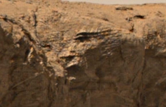 UFO sleuths say they’ve spotted a 10,000-year-old alien face carved on Mars rock