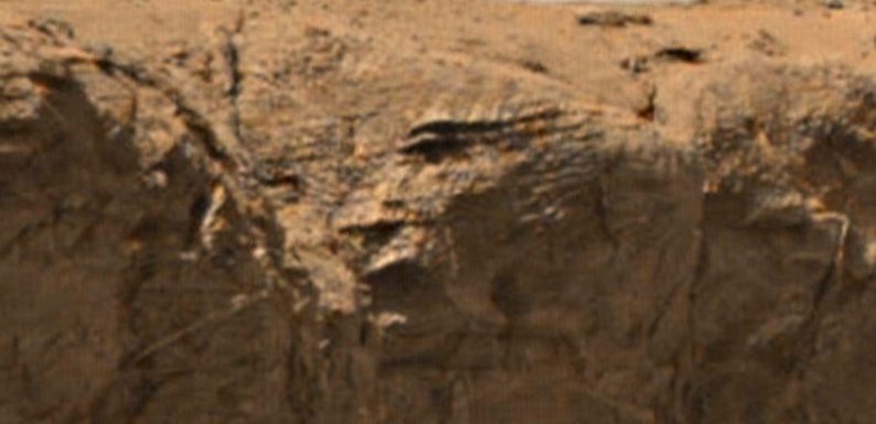 UFO sleuths say they’ve spotted a 10,000-year-old alien face carved on Mars rock