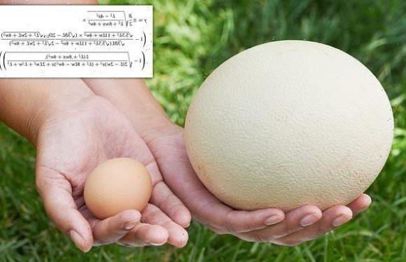 Universal formula to describe any birds egg created by scientists
