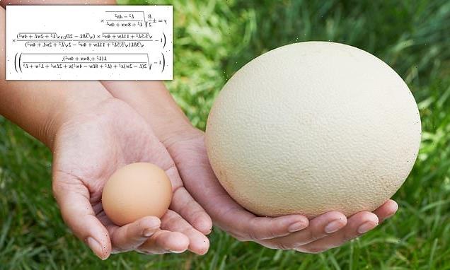 Universal formula to describe any birds egg created by scientists