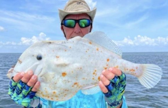 ‘What the heck is that?’ Florida angler baffled after catching bizarre ‘tortilla fish’