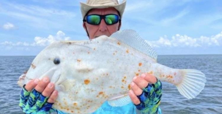 ‘What the heck is that?’ Florida angler baffled after catching bizarre ‘tortilla fish’