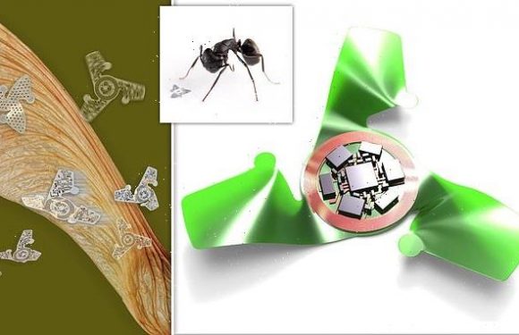 Winged microchip the size of a grain of SAND is created