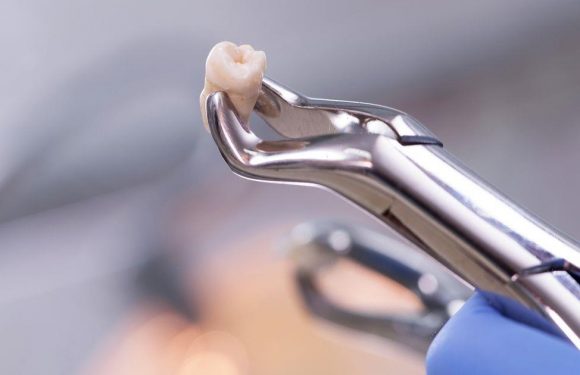 Woman thinks partner’s family ritual with dead person’s teeth is ‘creepy’