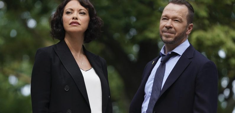 'Blue Bloods': Maggie Convinces Danny to Date Women Differently, 'He Wakes up a Bit'