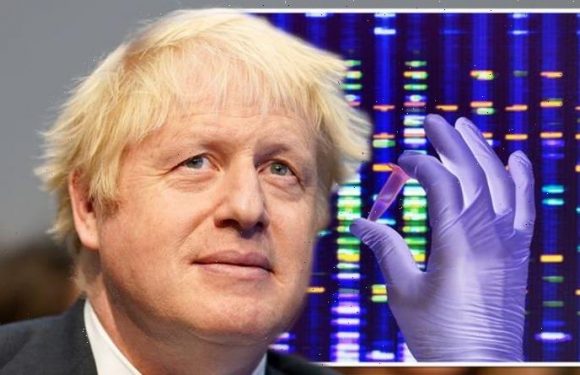 Brexit Britain set to ‘easily out-compete’ EU after slashing red tape to ‘liberate’ UK