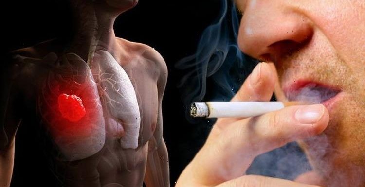 Cancer breakthrough as wonderdrugs target 80% of lung tumours after ‘unique’ find