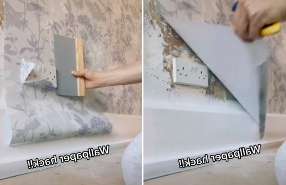 DIY expert reveals wallpaper hack that will save you tons of time and effort when installing it