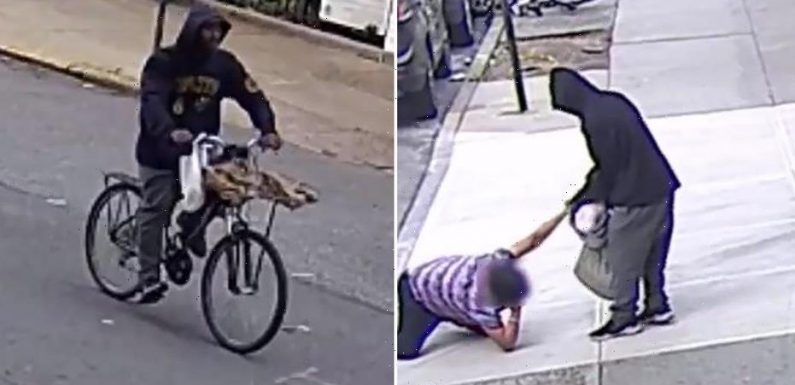 Elderly NYC woman dragged, punched in attempt to steal purse in broad daylight, video shows