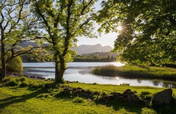 England faces environmental catastrophe as polluted water ‘crisis’ sparks extinction fears