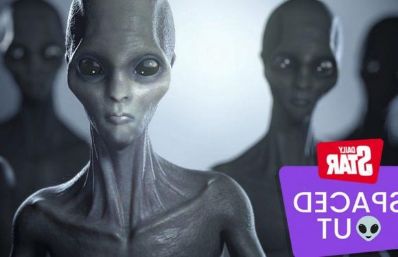 Expert says aliens could be cuddly and they definitely won’t want to eat us