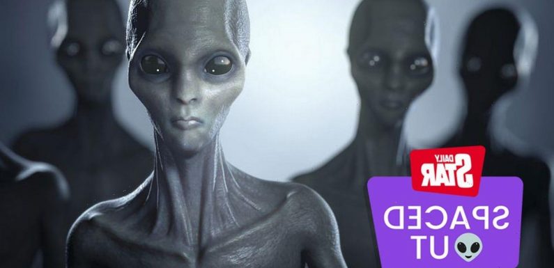 Expert says aliens could be cuddly and they definitely won’t want to eat us