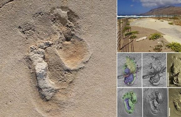 Experts identify oldest footprints of pre-humans in Crete