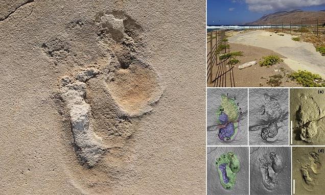 Experts identify oldest footprints of pre-humans in Crete