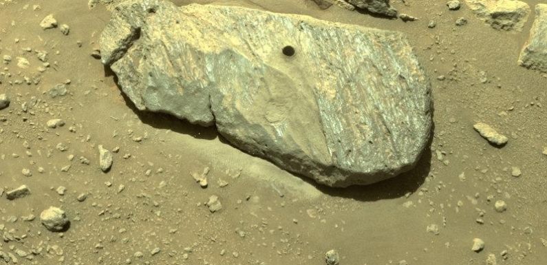 Images of dry Mars suggest evidence of a wet and ‘very different past’