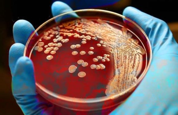 MRSA breakthrough: Revolutionary wonderdug to kill antibiotic-resistant hospital superbug