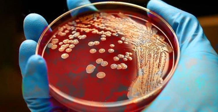 MRSA breakthrough: Revolutionary wonderdug to kill antibiotic-resistant hospital superbug