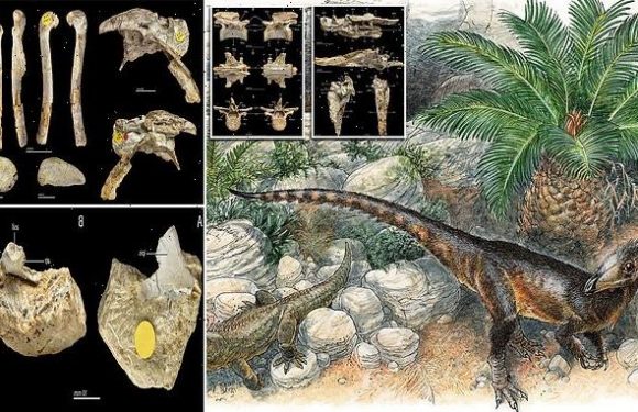 Meet T.Rex's ancestor! Dinosaur roamed Wales 215 million years ago