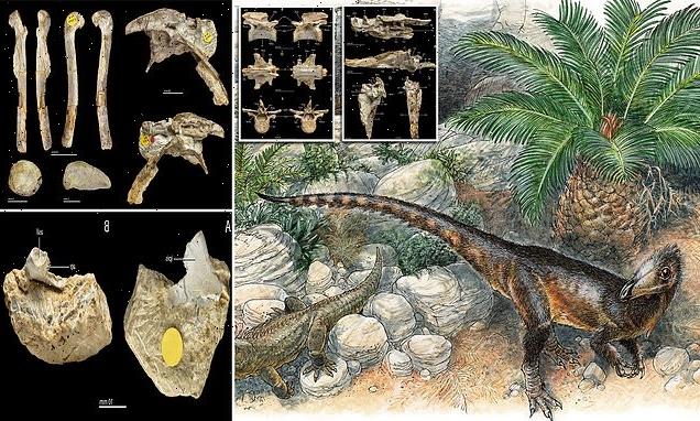 Meet T.Rex's ancestor! Dinosaur roamed Wales 215 million years ago