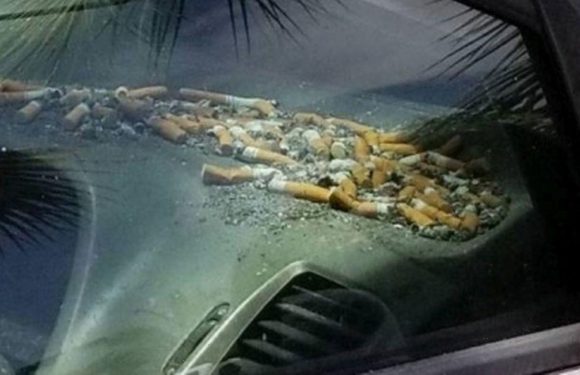 People ‘sickened’ by pile of ‘disgusting’ cigarette butts on car dashboard