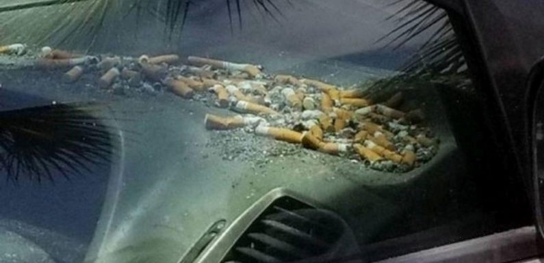 People ‘sickened’ by pile of ‘disgusting’ cigarette butts on car dashboard