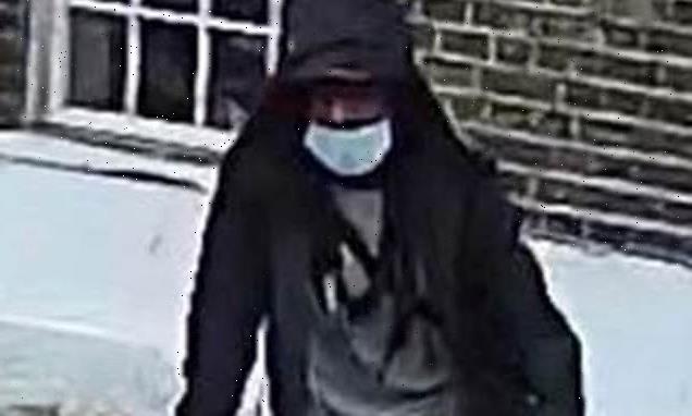 Police release image in hunt for serial sex attacker