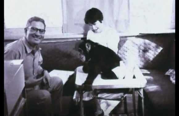 R. Allen Gardner, 91, Dies; Taught Sign Language to a Chimp Named Washoe