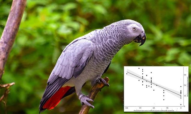 Smarter birds need mental stimulation or they suffer psychologically