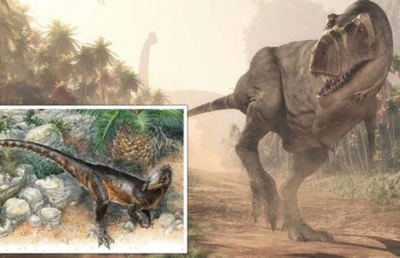 T-rex’s ‘dragon’ cousin found in Wales! New species is UK’s oldest meat-eating dinosaur