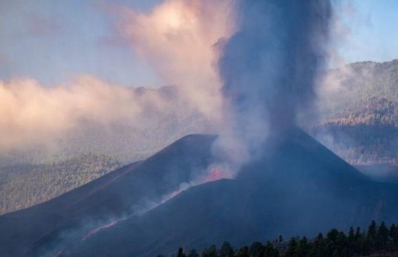 Tenerife tsunami warning: ‘Catastrophic’ volcano eruption could ‘devastate’ Canary Islands