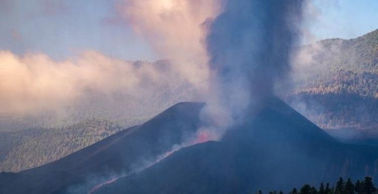 Tenerife tsunami warning: ‘Catastrophic’ volcano eruption could ‘devastate’ Canary Islands