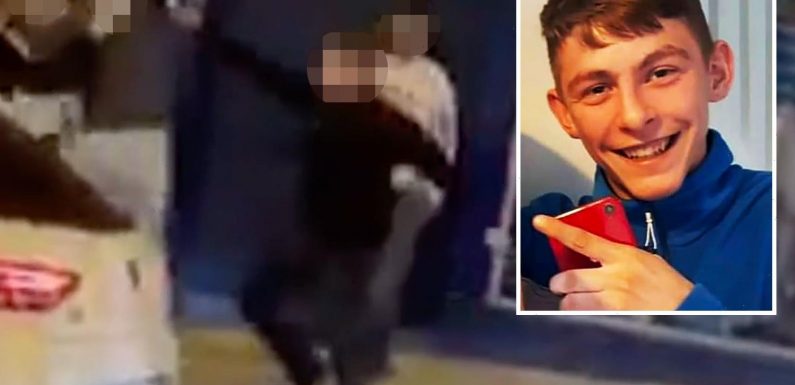 Terrifying moment mass brawl breaks out before man, 19, stabbed to death and pal knifed as shocked witnesses scream