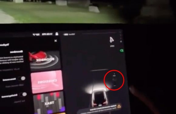 Tesla car detects 'ghost' while driving through cemetery – can you spot it?