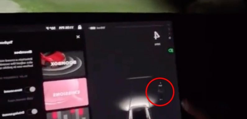 Tesla car detects 'ghost' while driving through cemetery – can you spot it?