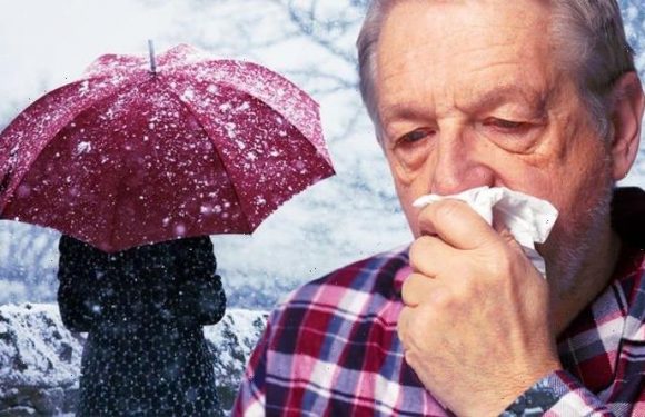 Winter warning as Britons face ‘super cold’ and Covid surge in weeks – GPs sound alarm