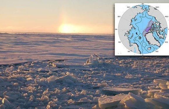 summer sea ice in the Arctic may not last the century
