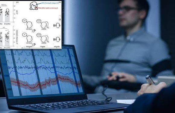AI robot can tell if you are lying by studying subtle facial movements