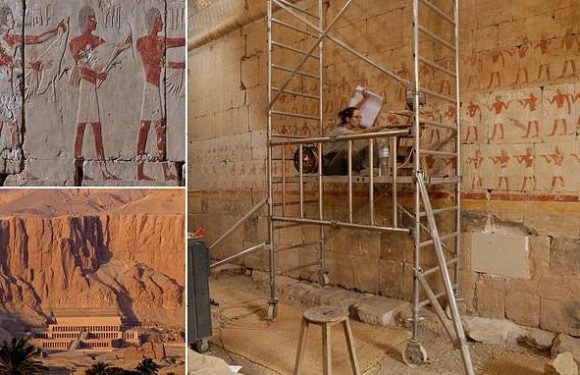 Ancient Egyptian reliefs show how masters and apprentices shared work
