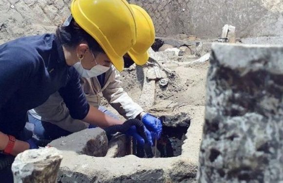 Archaeologists make sobering ‘rare’ find in Pompeii: ‘One of the most exciting in my life’