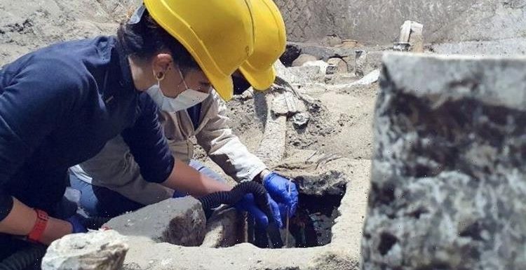 Archaeologists make sobering ‘rare’ find in Pompeii: ‘One of the most exciting in my life’