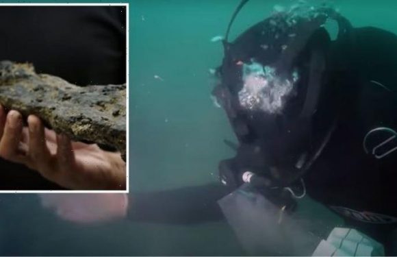 Archaeologists stunned after discovering lost 8,000-year-old city in English Channel
