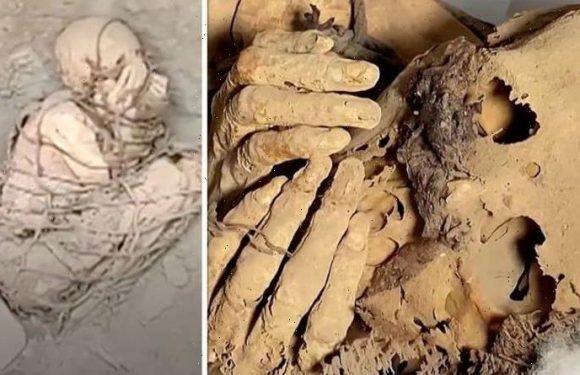 Archaeologists stunned as ‘800-year-old’ pre-Inca mummy unearthed in Peru