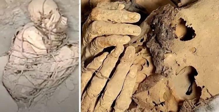 Archaeologists stunned as ‘800-year-old’ pre-Inca mummy unearthed in Peru