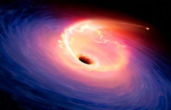 Black hole warning as gigantic cannibal region of spacetime devours host star