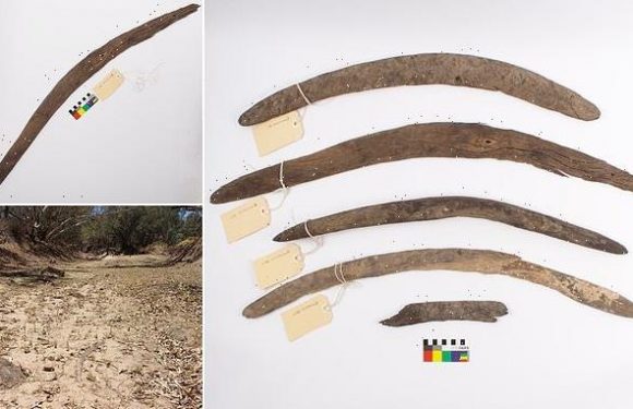 Boomerangs were used for diverse range of activities, study finds