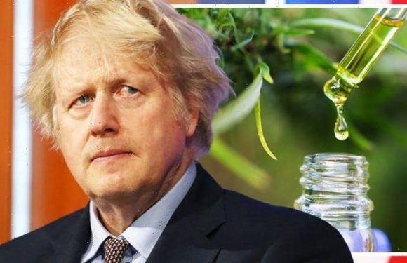 Boris told ‘act fast’ to seize £1.2bn Brexit Britain coup that EU restrictions blocked