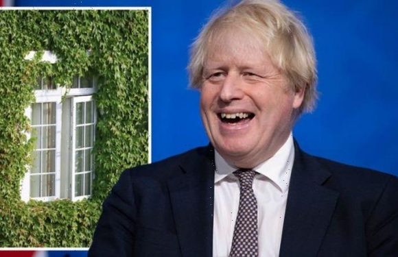 Brexit Britain breakthrough as ‘game-changing’ discovery could improve insulation by 30%